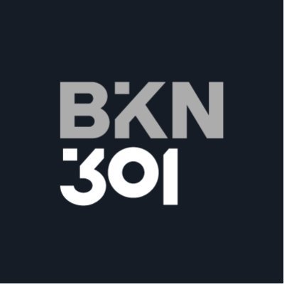 bkn301-ico