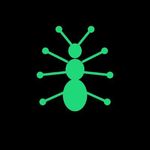 Antseed