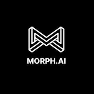 Morph AI MORPHAI Project Profile & Token Activities | DropsTab